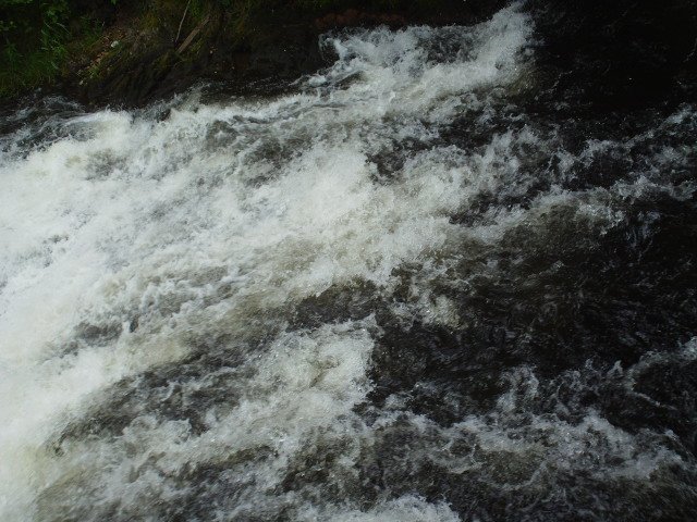 2014hwk 061.jpg